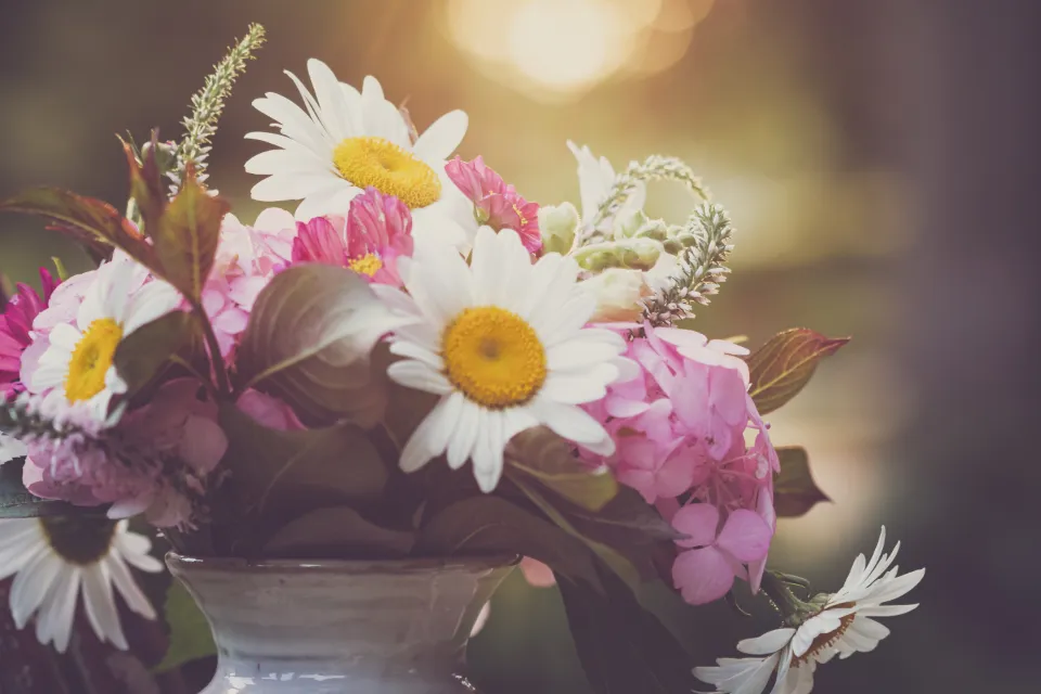 Bouquet de fleurs de saison