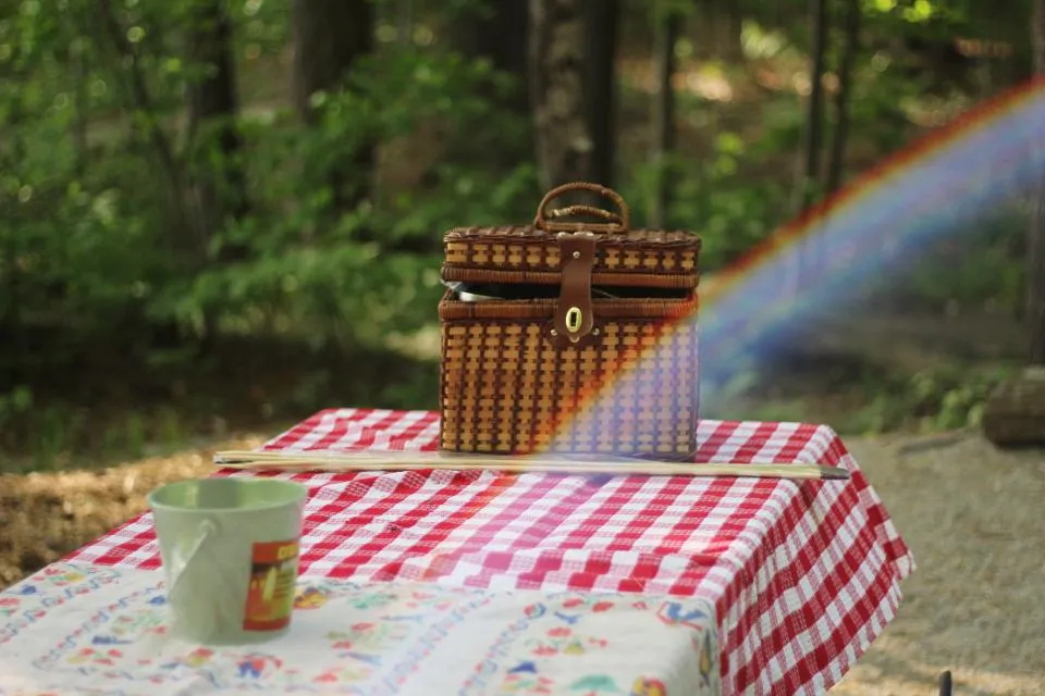 Panier et nappe de pique-nique dans un jardin