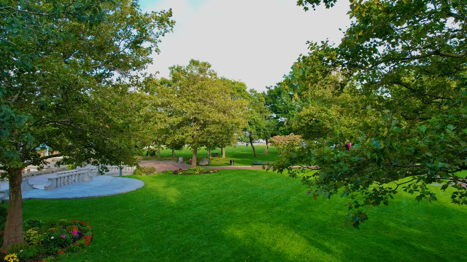 Parc arboré avec pelouse verte